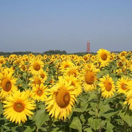 Huijsmans Verhuur Type A De Luxe Zuiderdiep 32 *