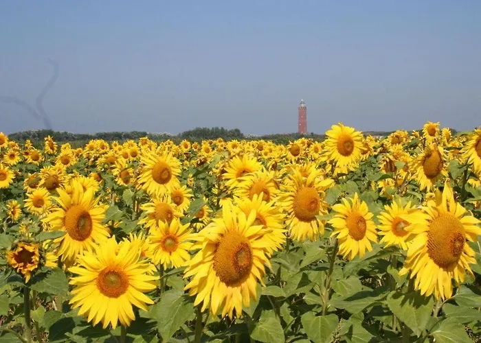 Huijsmans Verhuur Type A De Luxe Zuiderdiep 32 *